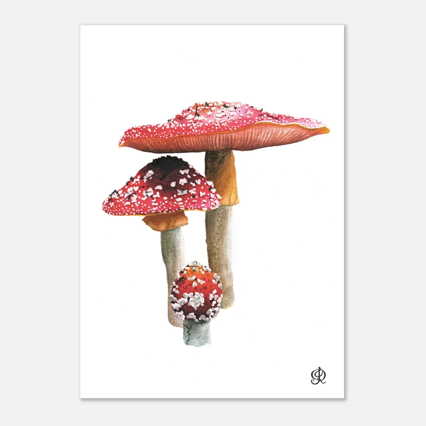 Fly Agarics mushroom watercolour art print by Jessica Reynolds — fine art giclée print.