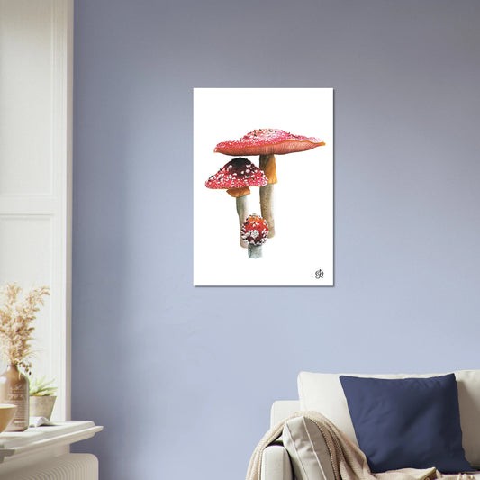 Fly Agarics mushroom watercolour art print by Jessica Reynolds — fine art giclée print.