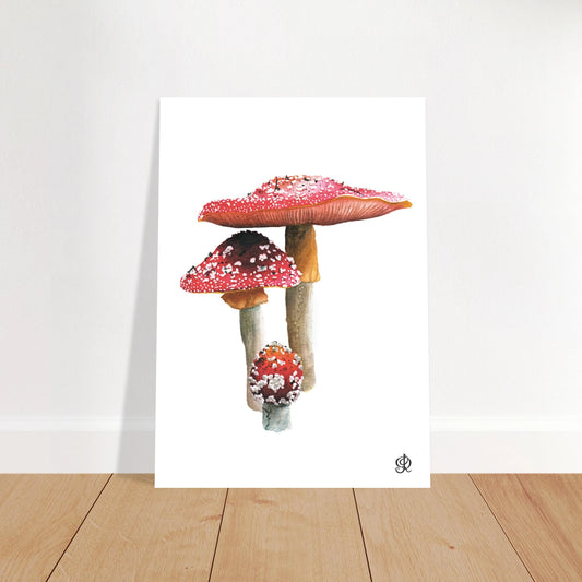 Fly Agarics mushroom watercolour art print by Jessica Reynolds — fine art giclée print.